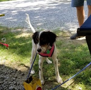 Meet your Posher, Glenda